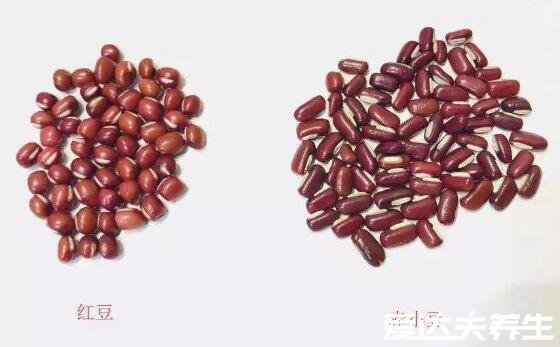 赤小豆和红豆的区别,赤小豆并不是红豆外表等3处各不相同
