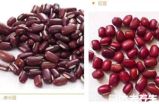 赤小豆和红豆的区别,赤小豆并不是红豆外表等3处各不相同