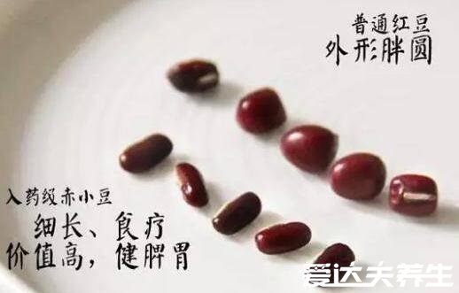 赤小豆和红豆的区别,赤小豆并不是红豆外表等3处各不相同