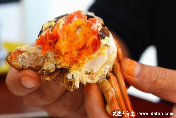 大闸蟹母蟹和公蟹哪个好,九月吃母蟹十月吃公蟹
