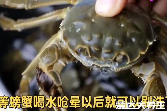 大闸蟹怎么洗才干净,详细洗大闸蟹步骤图(将大闸蟹醉晕在清洗)