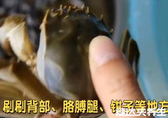 大闸蟹怎么洗才干净,详细洗大闸蟹步骤图(将大闸蟹醉晕在清洗)