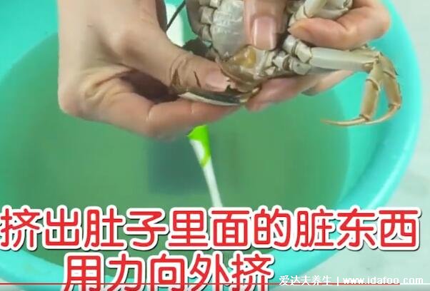 大闸蟹怎么杀怎么清洗干净视频,腹部最脏要挤干净(附螃蟹4不吃)