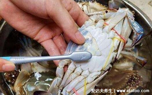 大闸蟹怎么蒸才正确,爱蟹肉请选择冷水下锅肚子朝上蒸