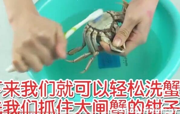 大闸蟹蒸多久,蒸15到20分钟的时间就可以(可加白酒去腥)