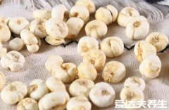 川贝炖雪梨的正确做法，先雪梨掏空在放入