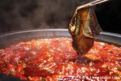 打完新冠疫苗需要注意什么，4类饮食需忌口