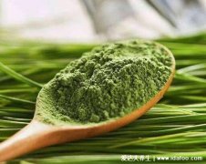 大麦若叶青汁的功效和作用,改善酸性体质