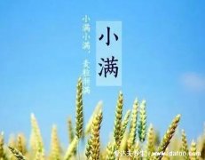小满节气的特点和风俗，进入大幅降水的雨
