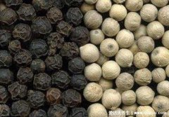 炖羊肉不能少的四种调料，胡椒一定要放(去