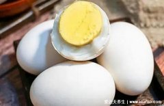 鹅蛋能治什么病偏方大全,和蒲公英同食治