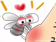 最有效的11种驱蚊方法,风油精/干橘子皮/西