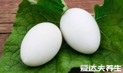 鹅蛋煮多久能煮熟,鹅蛋怎么吃最好吃