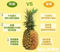 凤梨和菠萝的区别，从外观到味道都不相同