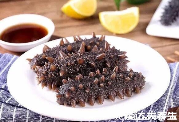 海参的简单最佳吃法,海参蒸蛋的做法可蒸2分钟(4种吃法)