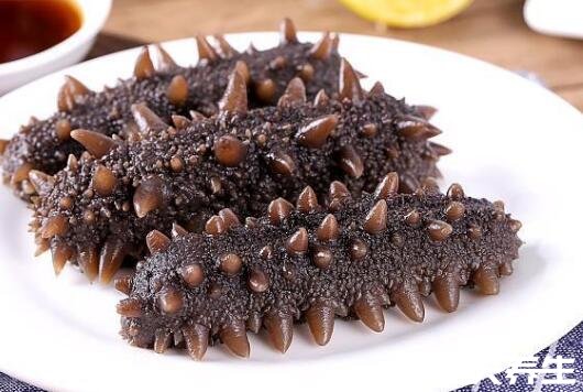 海参的营养价值及好处,氨酸含量丰富不仅能修复伤口还能抗衰老