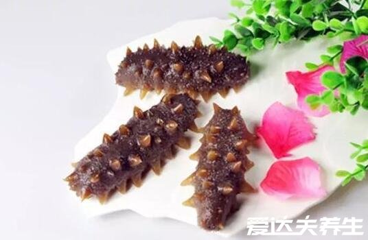 海参的营养价值及好处,氨酸含量丰富不仅能修复伤口还能抗衰老
