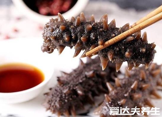 海参的营养价值及好处,氨酸含量丰富不仅能修复伤口还能抗衰老