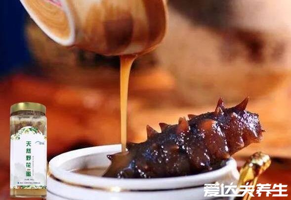 海参的简单最佳吃法,泡发的熟海参蘸酱油吃味美营养全