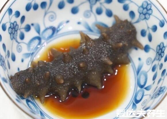 海参的简单最佳吃法,泡发的熟海参蘸酱油吃味美营养全