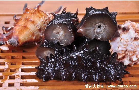 海参的营养价值和功效,长期吃不易得病(提升免疫力)