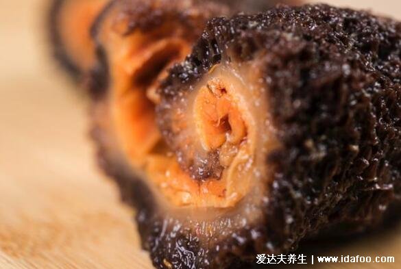 海参的营养价值和功效,长期吃不易得病(提升免疫力)