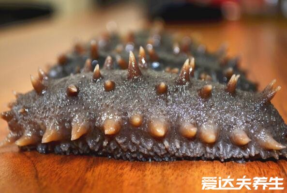 海参哪一种海参比较好,淡干工艺的纯野生海参最好