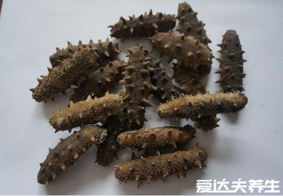 海参哪一种海参比较好,淡干工艺的纯野生海参最好