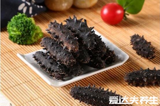 海参哪一种海参比较好,淡干工艺的纯野生海参最好