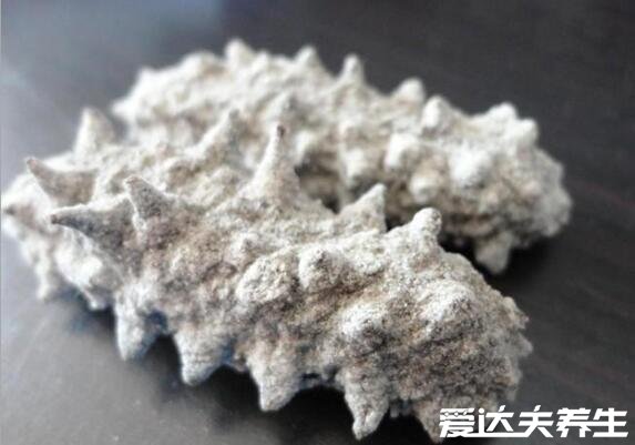 海参哪一种海参比较好,淡干工艺的纯野生海参最好