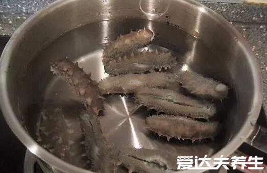 海参如何泡发,保持水温水质都很重要(新手看过来)