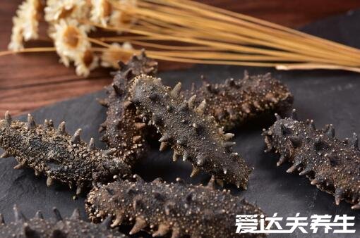海参是补什么的,吃海参的功效与作用(补肾补脑)