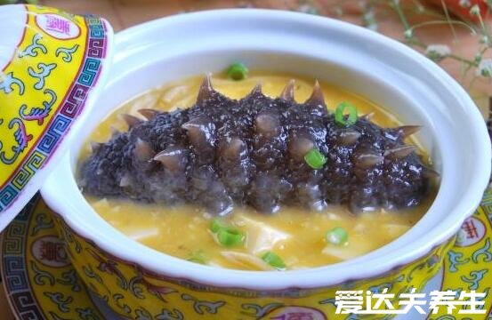 海参是补什么的,吃海参的功效与作用(补肾补脑)