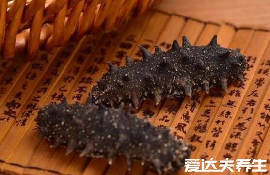 海参是补什么的,吃海参的功效与作用(补肾补脑)