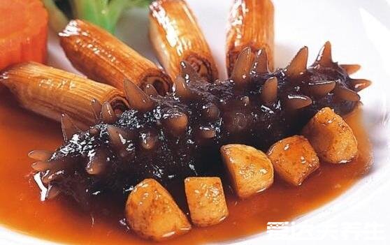 海参是补什么的,吃海参的功效与作用(补肾补脑)