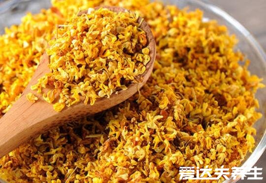 桂花泡水喝的9大禁忌,最主要的是不可以过量饮用