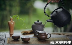 狗肉不能和什么一起吃，与鲤鱼一起吃会引