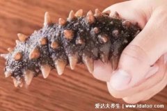 海参的简单最佳吃法,海参蒸蛋的做法可蒸