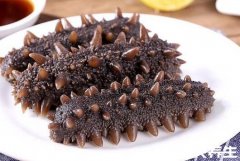 海参的营养价值及好处,氨酸含量丰富不仅