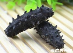 海参哪一种海参比较好,淡干工艺的纯野生