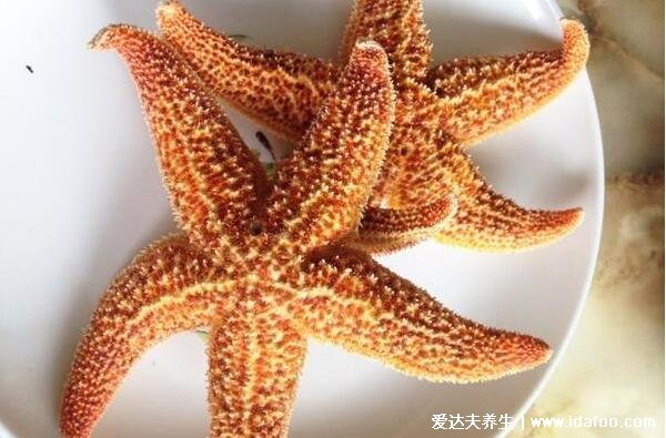 海星能吃吗怎么吃,能吃教你超美味的四种海星吃法(两大禁忌)