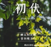 2021年三伏天时间表图片，今年三伏天具体时