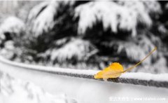 2021年三九天时间表图片，今年的冬至是一九