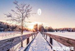 2021年数九天时间表，冬至开始的81天每9天大