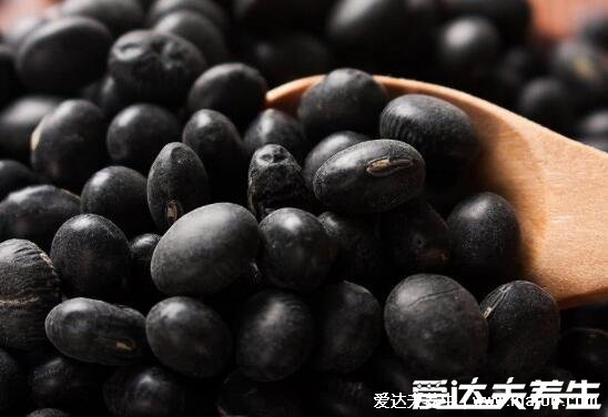 黑豆怎么吃最好,4种黑豆的吃法包括豆浆以及煮粥(注意禁忌)