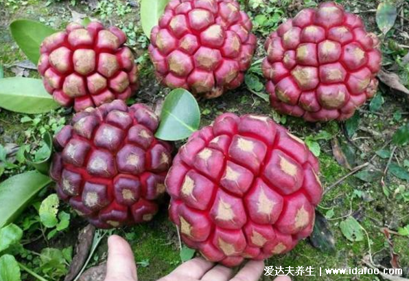 黑老虎水果图片，市场价80元一斤长得像恶魔果实