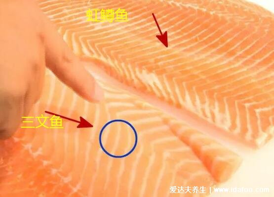 虹鳟鱼和三文鱼的区别，不仅外观差别大价格差距也十分大(图片)