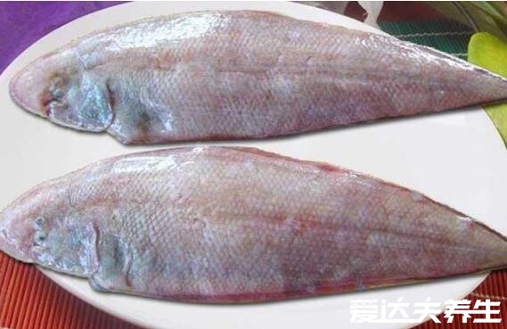 虹鳟鱼和三文鱼的区别，不仅外观差别大价格差距也十分大(图片)