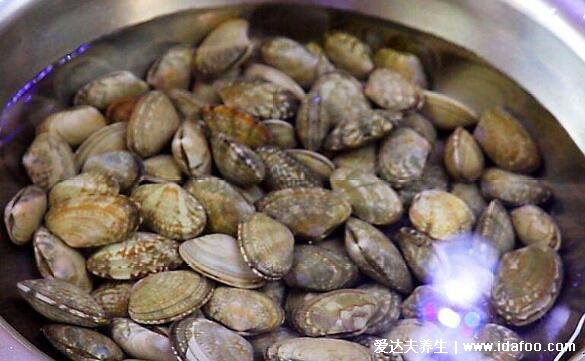 花甲怎么清洗内脏视频,香油盐水浸泡可快速吐出泥沙(内脏可吃)