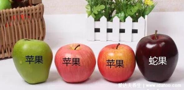 花牛苹果和蛇果的区别图片,4大区别口感营养差不多但蛇果贵好几倍